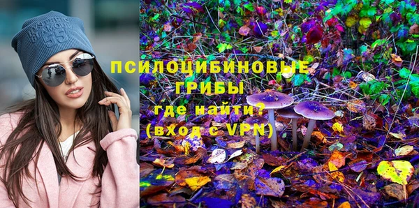 хмурый Абинск