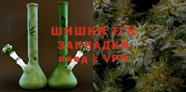 ГАЛЛЮЦИНОГЕННЫЕ ГРИБЫ Пересвет