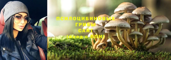 ГАЛЛЮЦИНОГЕННЫЕ ГРИБЫ Пересвет